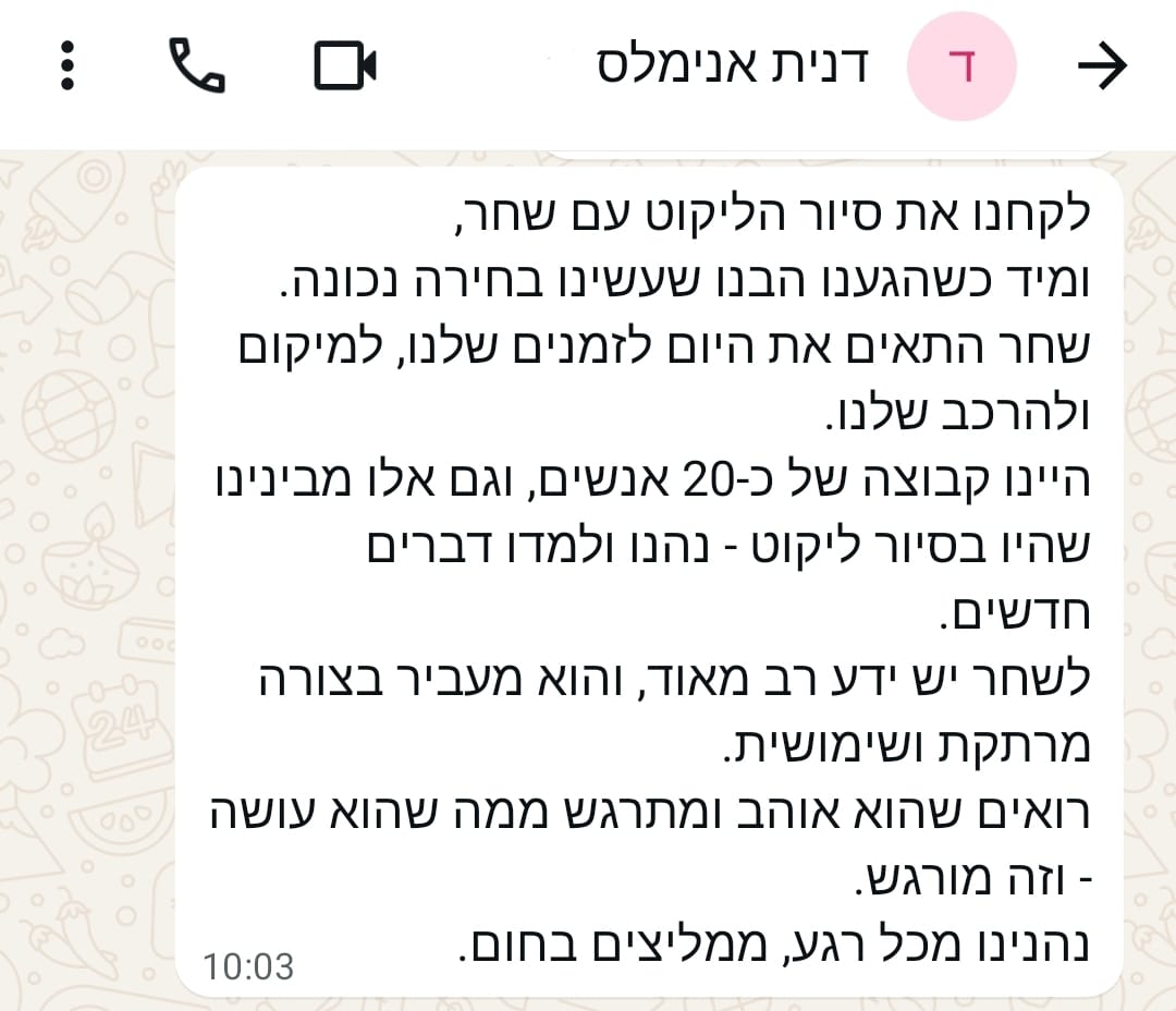 WhatsApp Image 2025-11-10 at 13.00.30