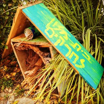 FB_IMG_1742068523954