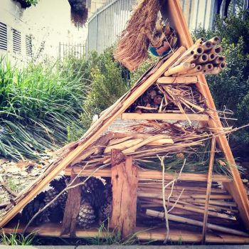 FB_IMG_1742068531898