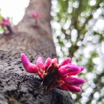 IMG_20231209_153853_002