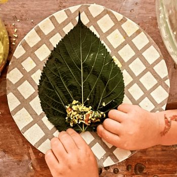 IMG_20240501_085336_822