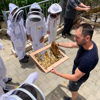 Screenshot_20230928-114023_Photos